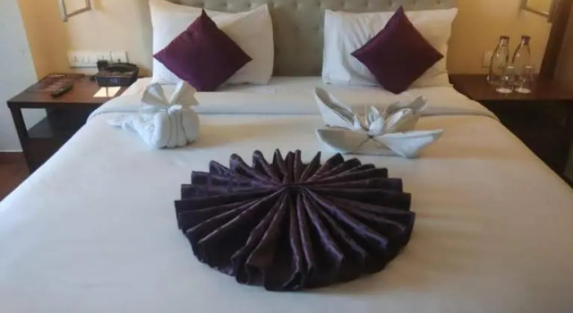 Номер Deluxe Royal Orchid Central Jaipur, Bani Park