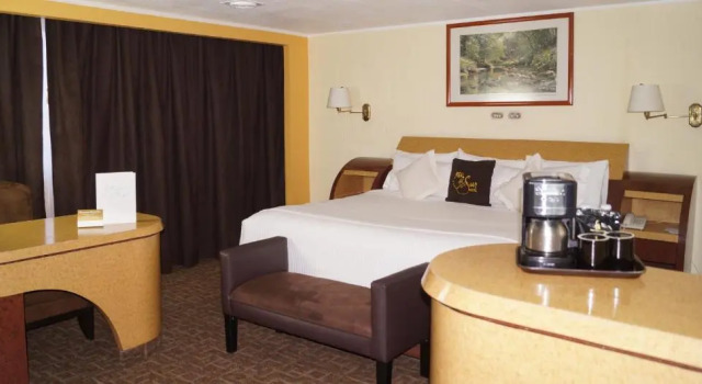 Номер Superior Hotel Real del Sur