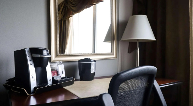 Двухместный номер Standard Wyndham Houston near NRG Park - Medical Center