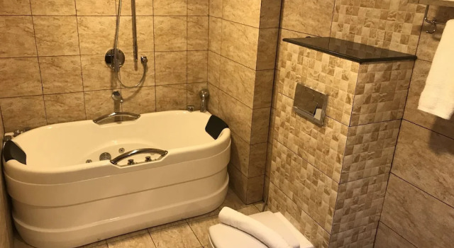 Люкс Luxury Hotel Karthika Park