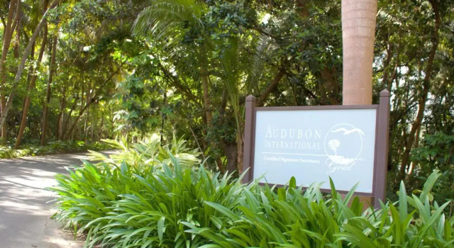 Villa Athena, Book Villa Rio Grande Puerto Rico