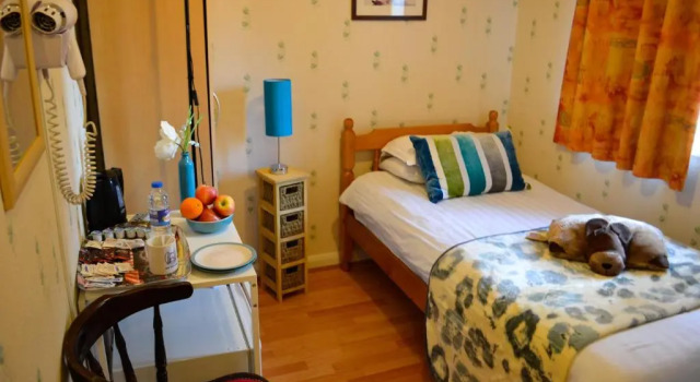 Одноместный номер City London Hotel