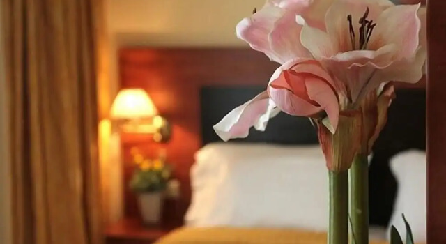 Одноместный номер Standard с балконом Galaxy Hotel