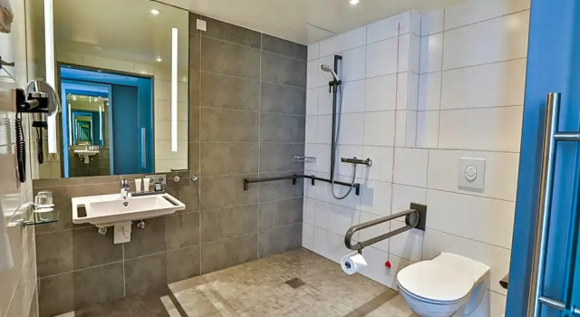 Номер Business Holiday Inn - Villingen - Schwenningen by IHG