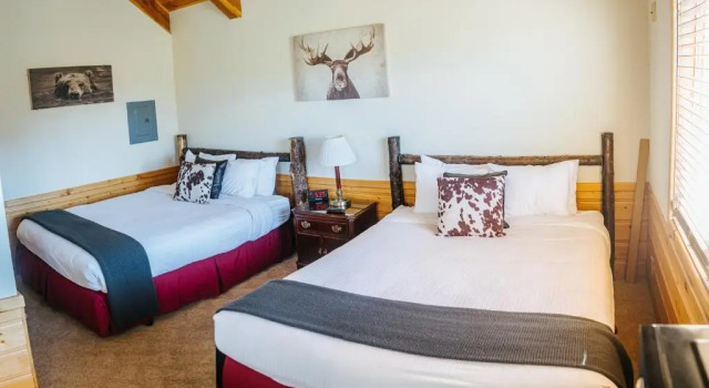 Двухместный номер Deluxe River Lodge