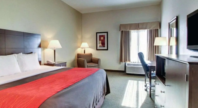 Одноместный люкс Comfort Inn & Suites Moss Point Pascagoula