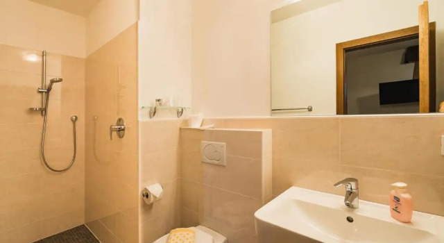 Номер Standard Hotel Restaurant Alber