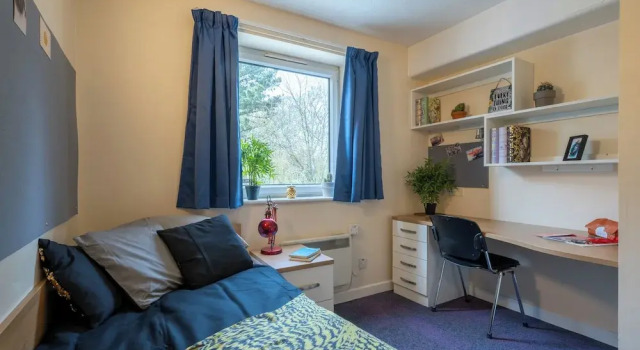 Номер Standard For Students Only Kimber Student Residence