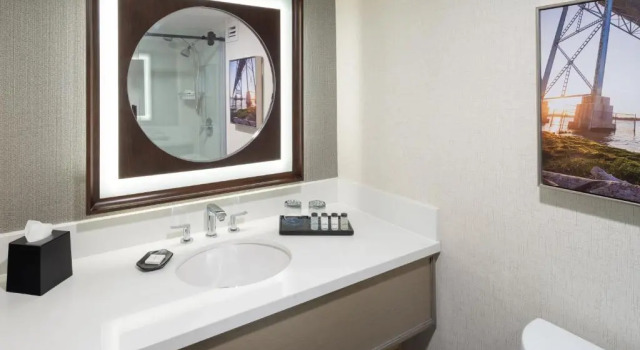 Четырёхместный номер Standard Sheraton Detroit Novi
