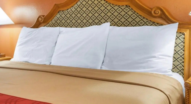 Номер Standard Econo Lodge Hobbs