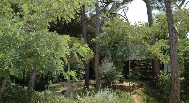 Camping Pionier Etrusco