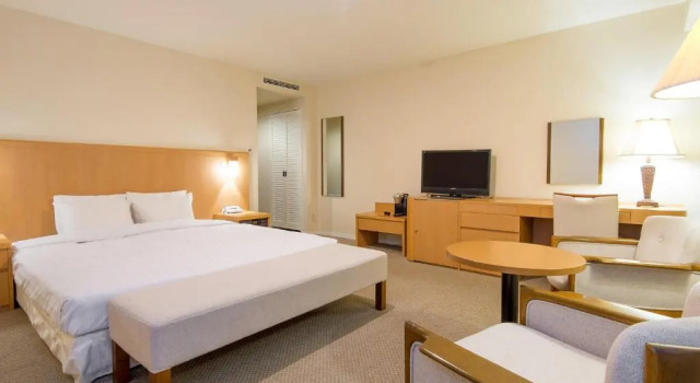 Двухместный номер Deluxe Art Hotel Asahikawa