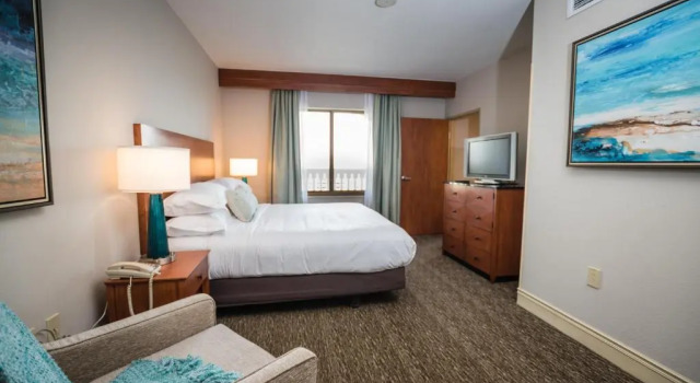 Полулюкс с видом на озеро Hilton St. Petersburg Carillon Park