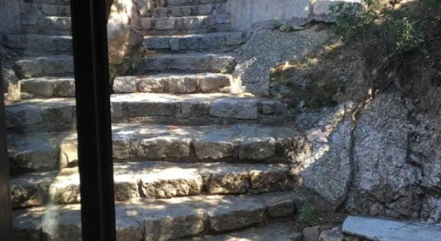 Студия Standard Domus Liscia di Vacca