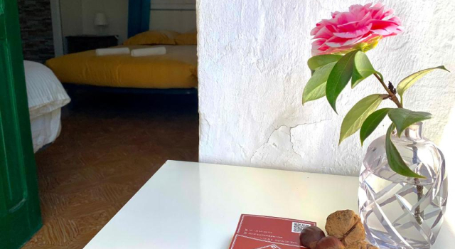 Номер Standard с видом на сад La Casita