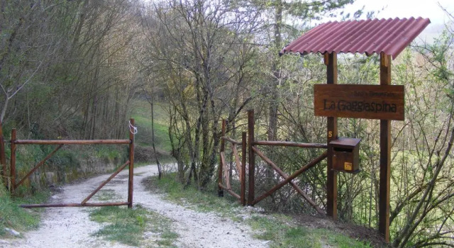 Bed & Breakfast La Gaggiaspina, Book Hotel Nocera Umbra Umbrien