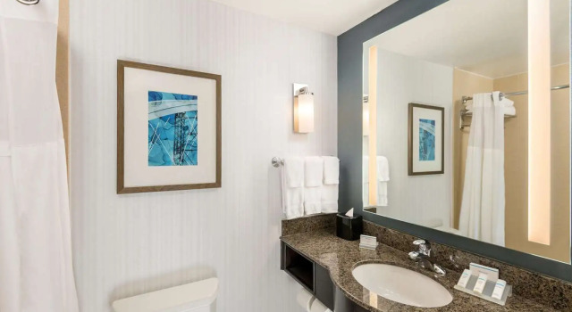 Четырёхместный номер Standard Hilton Garden Inn Silver Spring White Oak