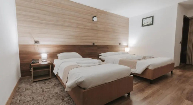 Трёхместный номер Standard Hotel Apollo Central