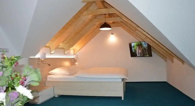Трёхместный номер Deluxe Hotel Podlesí