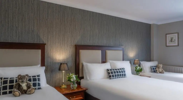 Семейный номер Standard Dooleys Hotel Waterford City