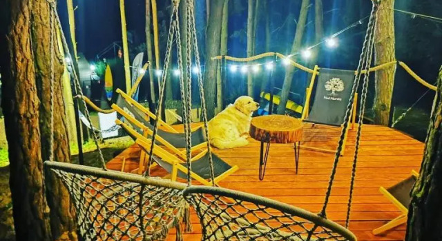 Апартаменты Nad Narvią - Glamp