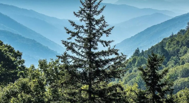 Апартаменты Minutes to Parkway I Pigeon Forge Sleeps 14 5BR