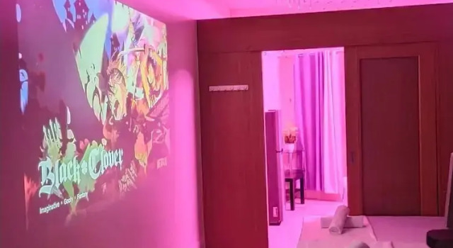 Номер Standard Royal Purple Cinema Room