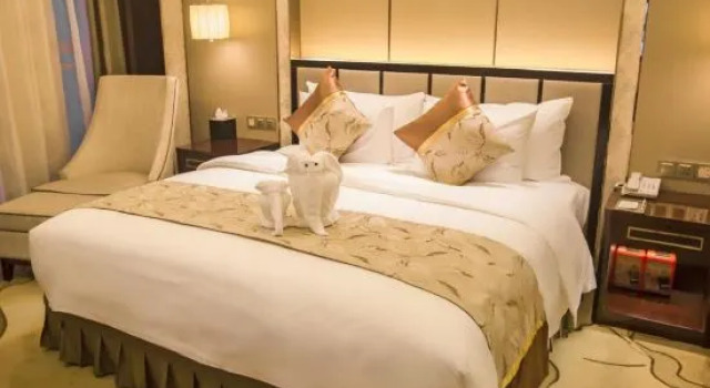 Suite Executive Sunrev International Hotel