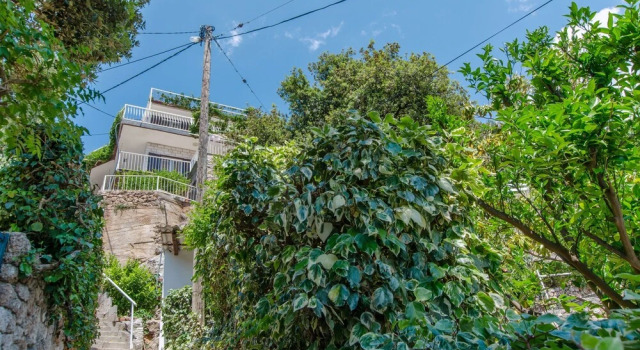 Apartments Vedran