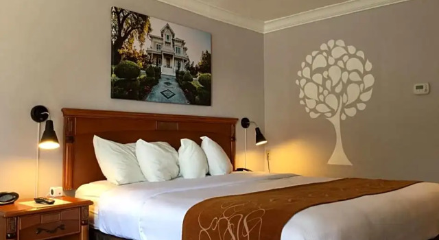 Номер Standard Journey Inn