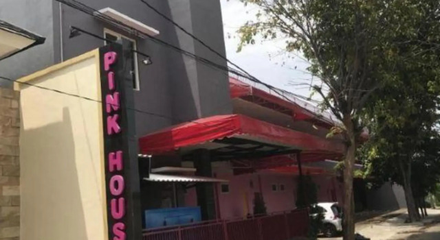 Pink House