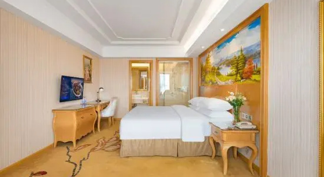 Люкс Deluxe Vienna International Hotel (Wuhan Tianhe Airport Panlongcheng Songjiagang Metro Station)