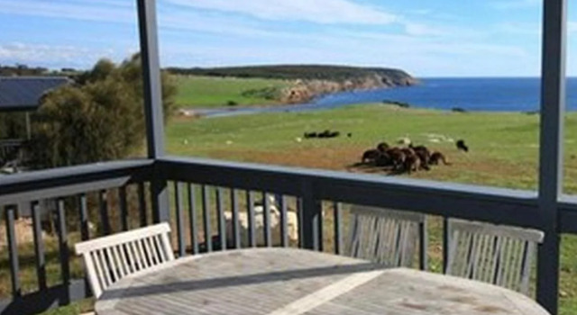 Waves and Wildlife, Buchen Sie Ferienhaus Villen in Känguru-Insel, Villa