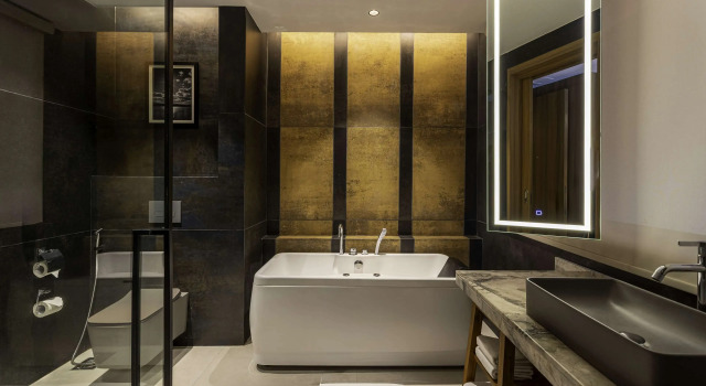 Номер Premium Radisson Blu Plaza Resort & Convention Centre Karjat