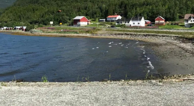 Løkvollstranda camping As, Reserva ahora Camping Lokvollen Troms og Finnmark