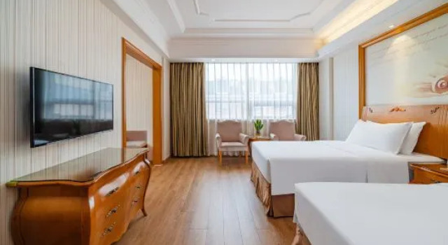 Люкс Wuyi Mountain Vienna International Hotel (Sangu Holiday Zone Impression Dahongpao Branch)