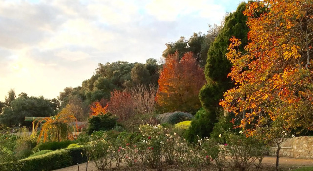 The Garden Cottage at The Olives, Reserva ahora Casa o chalet  