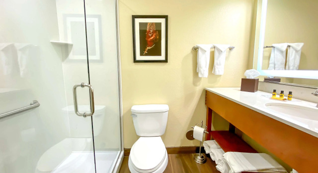 Двухместный номер Standard Best Western Plus Inn of Williams