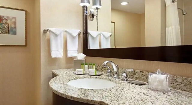 Полулюкс DoubleTree by Hilton Boston/Bedford Glen