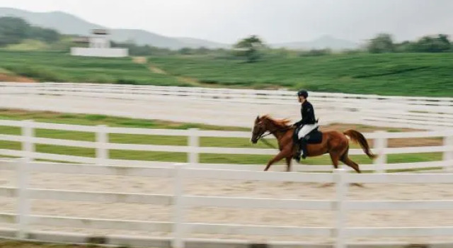 Tonino Lamborghini Resort Yixing, Book Resort Resort Hotels in Wuxi, Resort