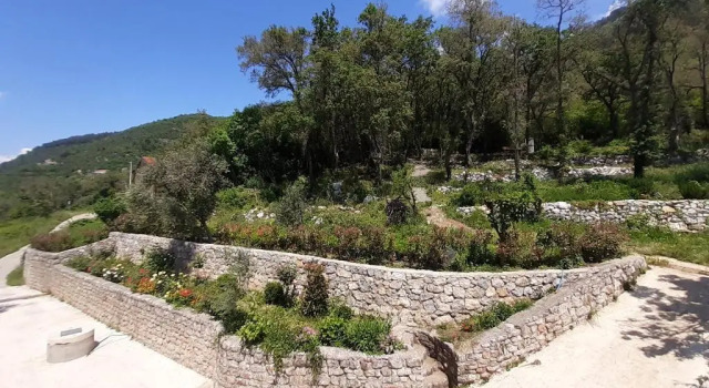 Apartman Macic Dub II, Book Lejlighed Hoteller i Kotor Riviera med parkering, Parkering