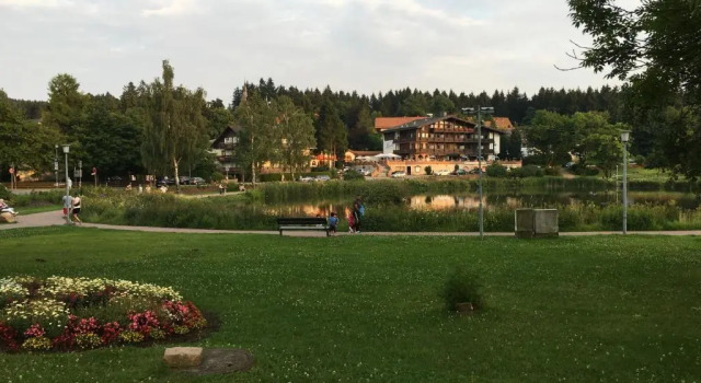 Апартаменты Fewo Andresen Hahnenklee