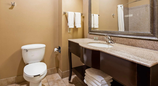 Номер Standard Best Western Lamesa Inn & Suites