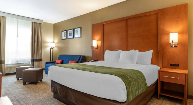 Двухместный номер Standard Comfort Inn & Suites Orangeburg