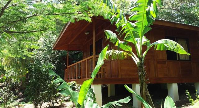 Номер Standard Rancho de Lelo Ecolodge