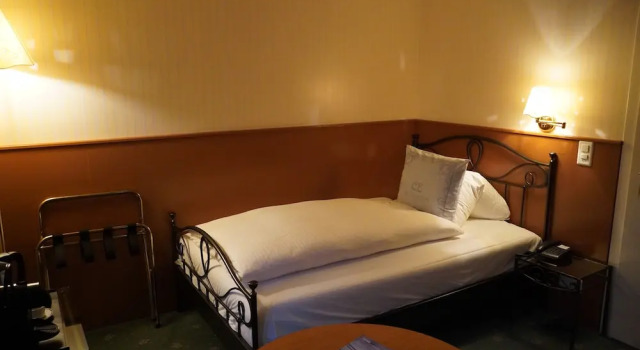 Одноместный номер Classic Carlton-Europe Vintage Adults Hotel
