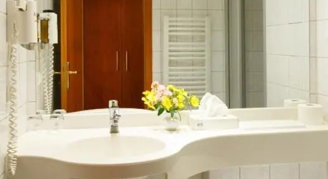 Номер Standard Hotel Goldener Fasan