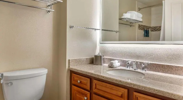 Двухместная студия Hilton Grand Vacations Club SeaWorld Orlando