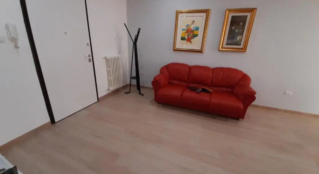 Gattini 48