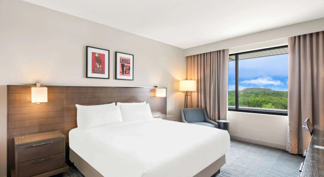 Двухместный номер Deluxe Sonesta Bee Cave Austin Hill Country